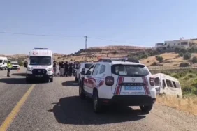 Ekran görüntüsü 2026-07-24 114956