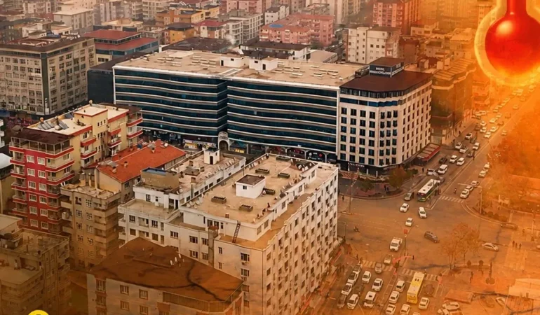 Ekran görüntüsü 2026-07-31 152729