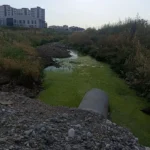 İl il 2023 Newroz programı thumbnail