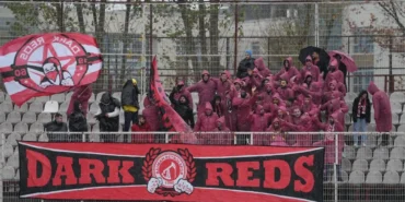 dark reds