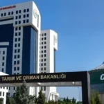 Demirtaş, 'olan sana olur' dedi, Altun, ‘korkmuyorum’ diye cevap verdi thumbnail