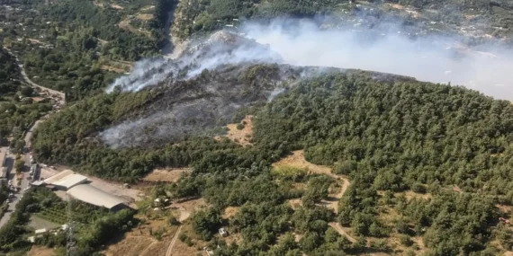 Bursa’da üç farklı alanda orman yangını çıktı