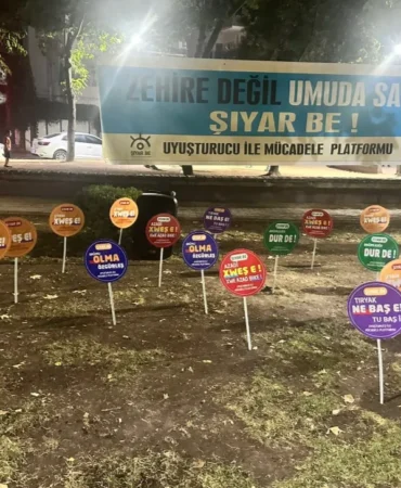 Ekran görüntüsü 2026-08-01 114401