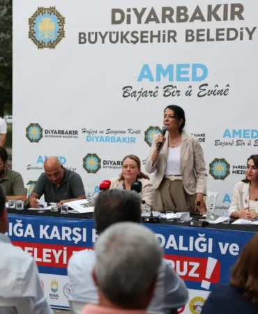 Ekran görüntüsü 2026-08-11 134458