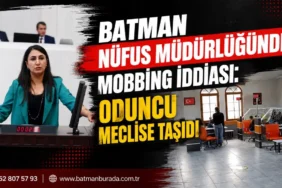 Ekran görüntüsü 2026-08-17 133902