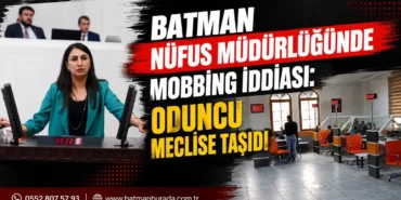 Ekran görüntüsü 2026-08-17 133902