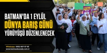 Ekran görüntüsü 2026-08-31 114534