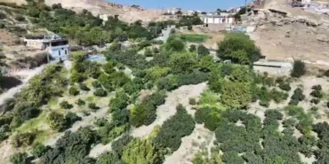 Ekran görüntüsü 2026-08-31 163347