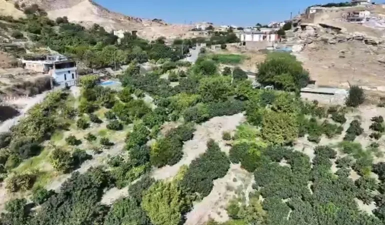 Ekran görüntüsü 2026-08-31 163347