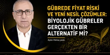 Ekran görüntüsü 2026-08-31 164940