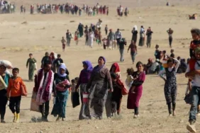 Ezidi soykırımı