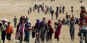 Ezidi soykırımı