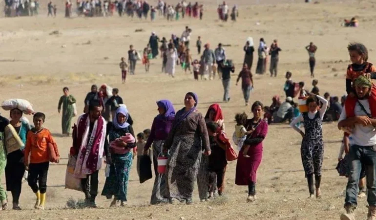 Ezidi soykırımı