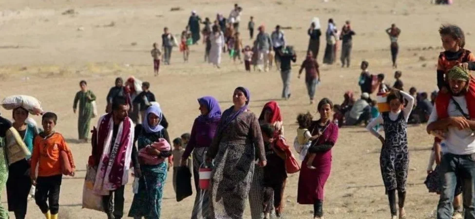 Ezidi soykırımı