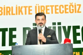 Ferdi Kurt 2