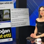 Cesetleri denizde bulunan 3 kardeşin gizemli ölümünde yeni şok edici detaylar thumbnail