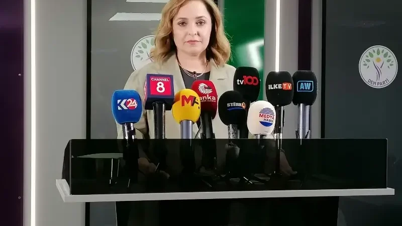 ayşegül doğan2026