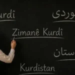 Karayılan açıkladı: 1976’dan 2026’ya kadar 27 bin PKK’li hayatını kaybetti thumbnail