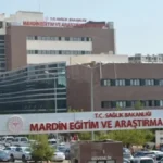Bülent Arınç'tan Davutoğlu'na: Liderimize bağlı bir şekilde AK Parti'de kalmalıydınız thumbnail