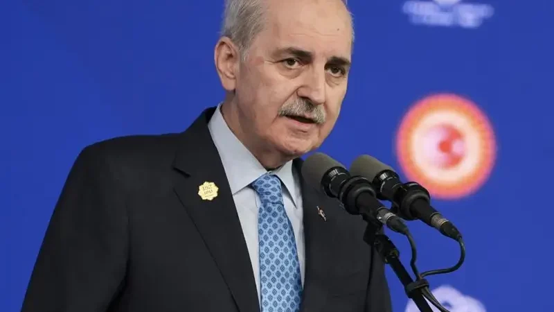 numan-kurtulmuss