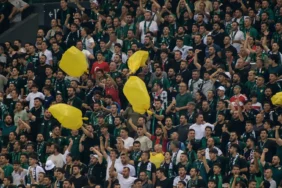 sarı torba kocaelispor