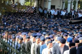 süleymancılar