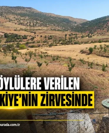 Ekran görüntüsü 2026-09-10 100732