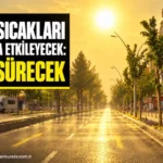 AK Parti MKYK üyesi Murat Çiçek’ten Kürtçe yazıların silinmesine tepki thumbnail