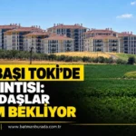 Batman'da Ocak ayı içerisinde 10.945 paket kaçak sigara ele geçirildi thumbnail