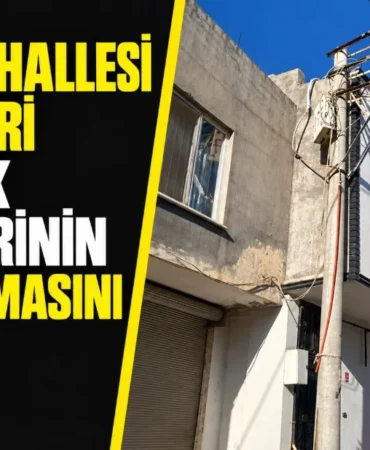 Ekran görüntüsü 2026-09-24 102256