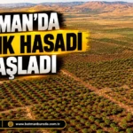 Plastik cerrah hasta kabulüne başladı thumbnail