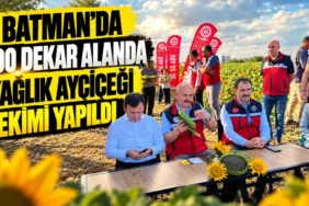 Ekran görüntüsü 2026-09-29 170323