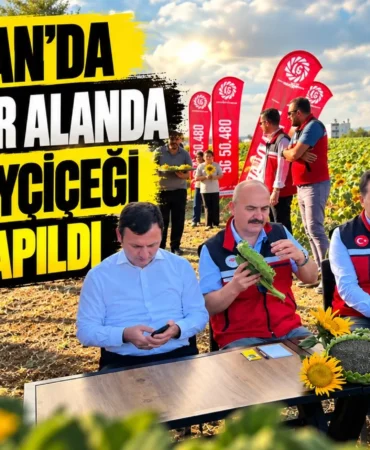 Ekran görüntüsü 2026-09-29 170323