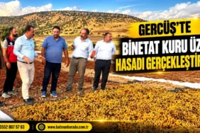Ekran görüntüsü 2026-10-02 135555