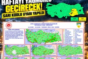 Ekran görüntüsü 2026-10-12 113452