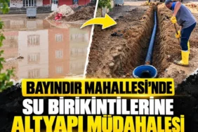 Ekran görüntüsü 2026-10-14 122150