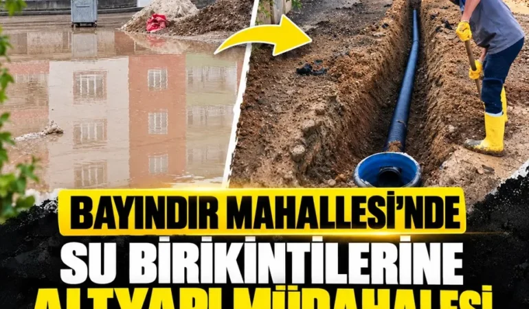 Ekran görüntüsü 2026-10-14 122150