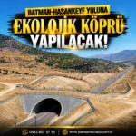 Batman Ahmedi Hani Anadolu İmam Hatip Lisesinden Türkiye ikinciliği thumbnail