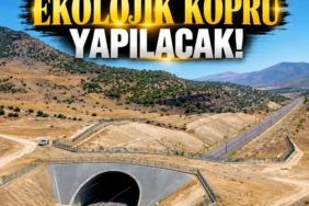 Ekran görüntüsü 2026-10-16 120221