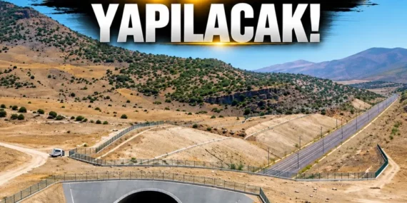 Batman-Hasankeyf yoluna ekolojik köprü yapılacak!
