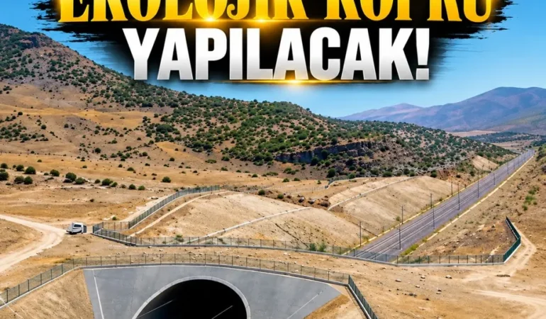 Ekran görüntüsü 2026-10-16 120221