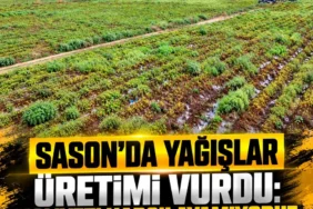 Ekran görüntüsü 2026-10-20 123016