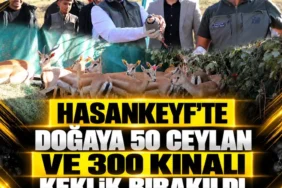 Ekran görüntüsü 2026-10-24 095239