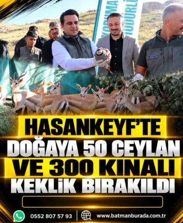 Ekran görüntüsü 2026-10-24 095239