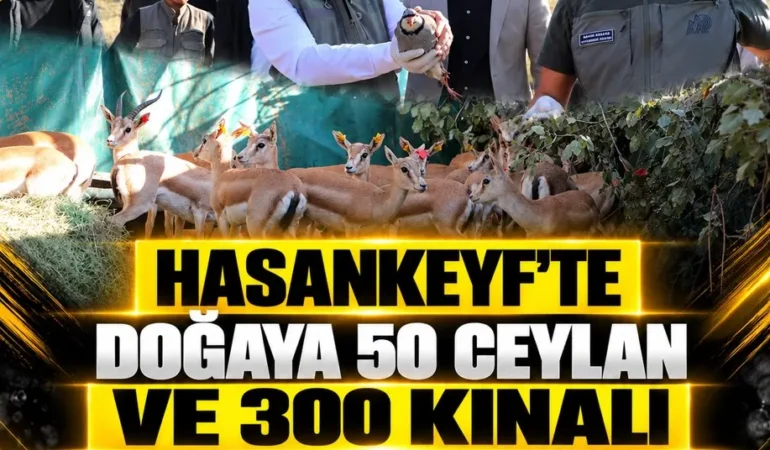 Ekran görüntüsü 2026-10-24 095239